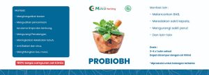 PROBIOBH: Probiotik dari RS Medical Hacking