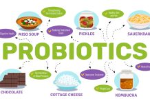 Probiotik: Mikroorganisme Baik untuk Kesehatan-RS Medical Hacking