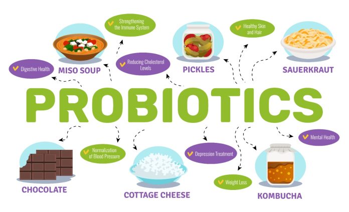 Probiotik: Mikroorganisme Baik untuk Kesehatan-RS Medical Hacking